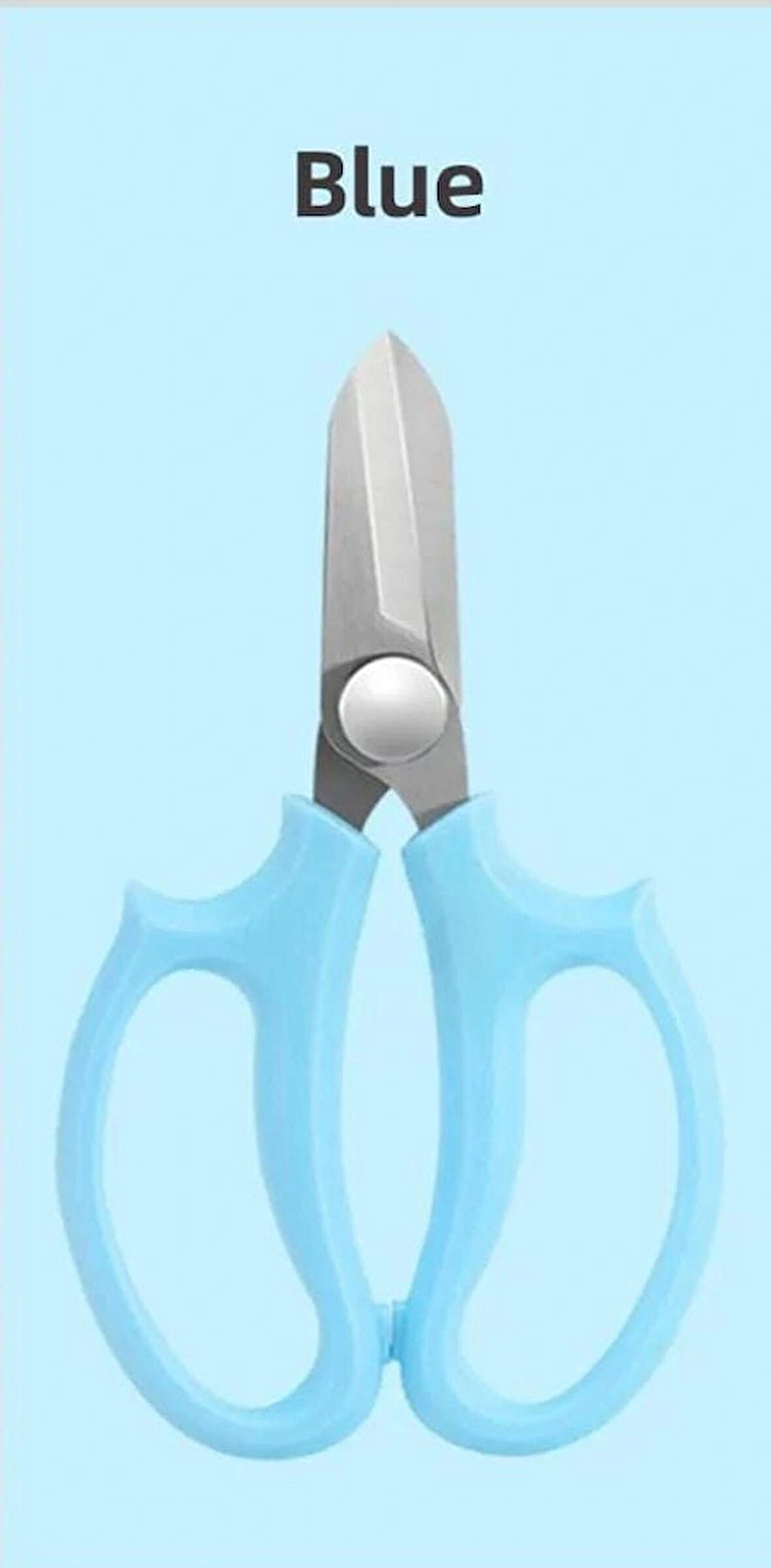 Bahçe Çiçek Makası, Keskin Paslanmaz Çelik Çiçek Makası, Budama Makası Çok Amaçlı Makas mavi