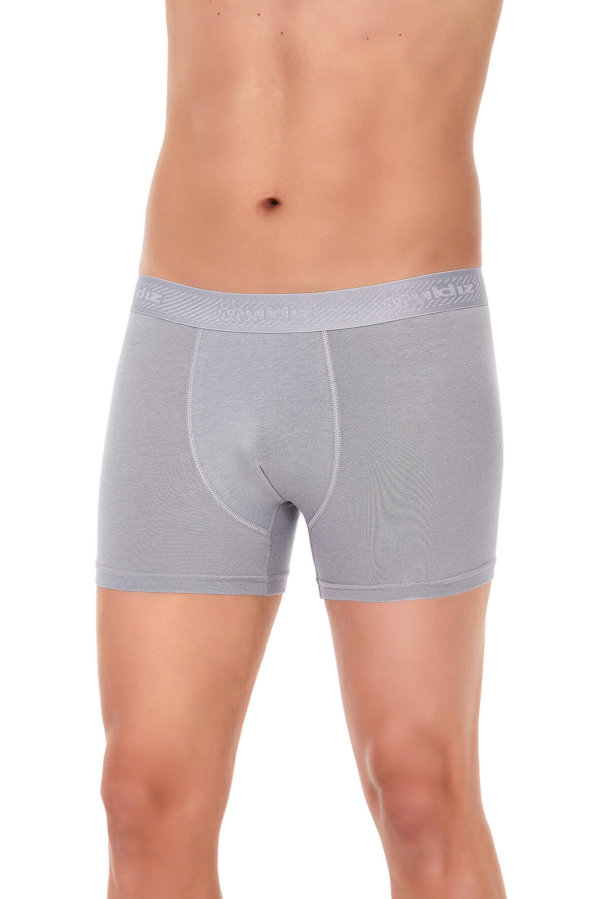 Modal Gri Classic Erkek Boxer 2 Adet