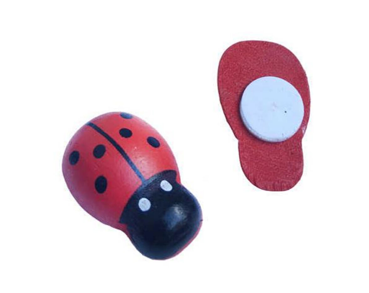 KIRMIZI MİNİK UĞUR BÖCEKLERİ (50'l1 Paket)