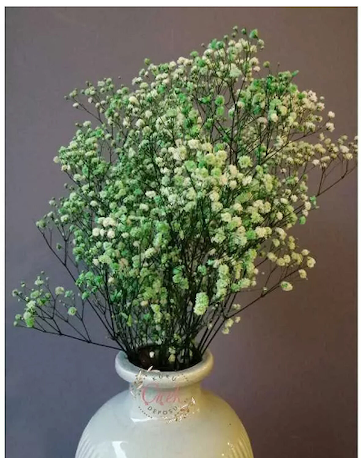 Mistik Yeşil Şoklanmış Renkli Cipso