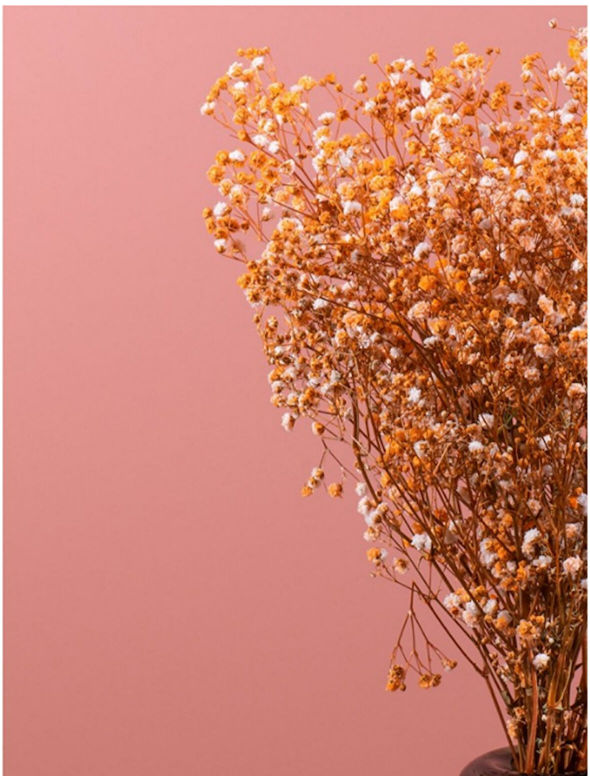 Turuncu    Şoklanmış Renkli Cipso