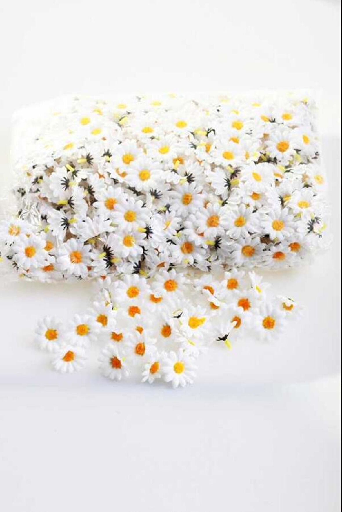 Minik papatya kafa 50'li paket