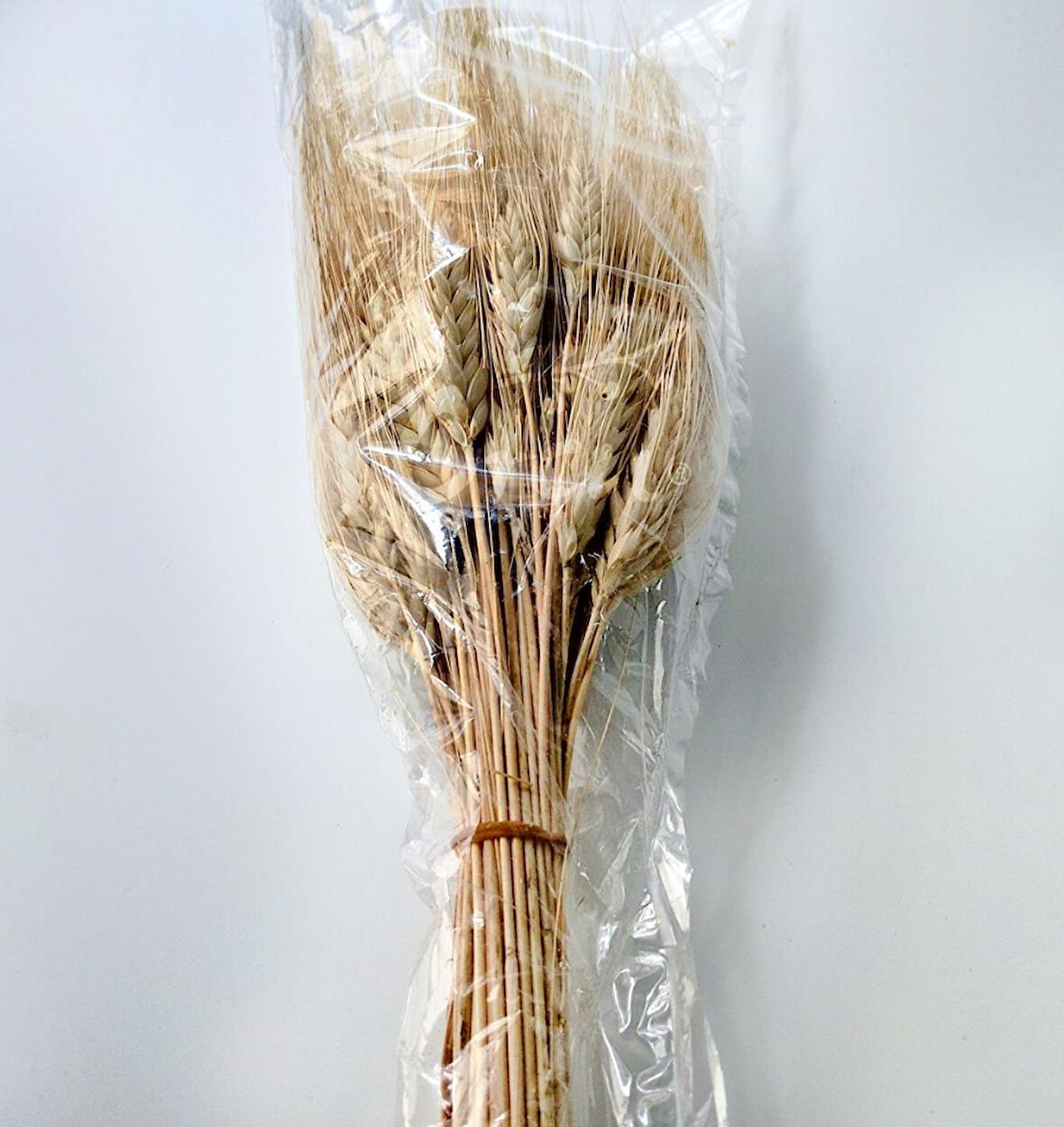 Kurutulmuş buğday başağı