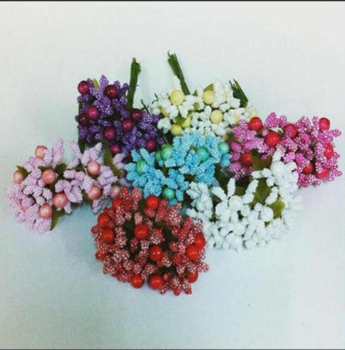 Bordo TOMURCUK CİPSO (12 BAĞ)