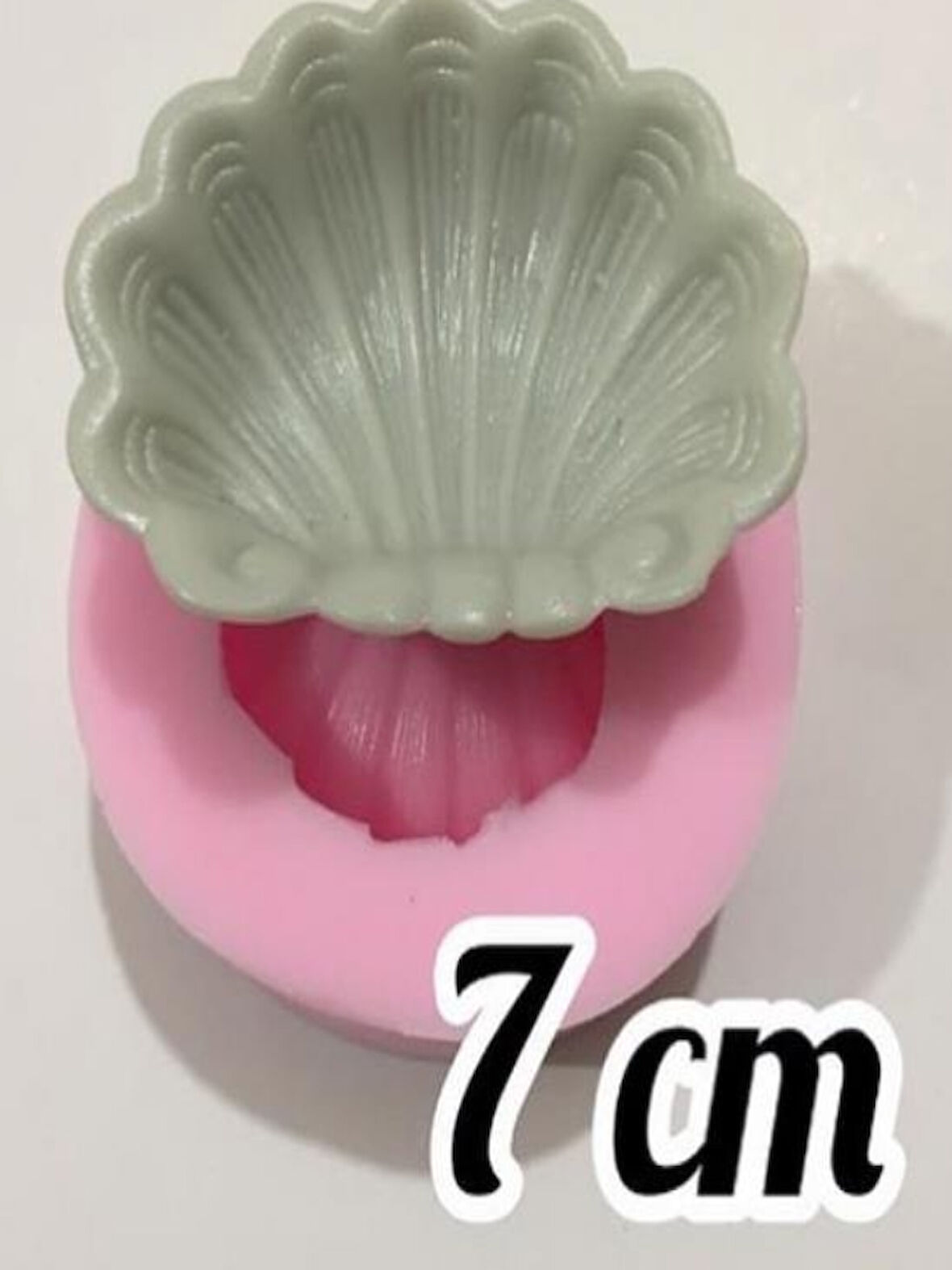 Silikon midye deniz kabuğu kalıbı