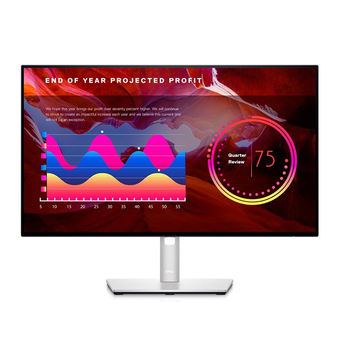 Dell 24 U2422H FHD 5ms Dp/Hdmi Usb-C Usb3.2 Pivot IPS Monitör