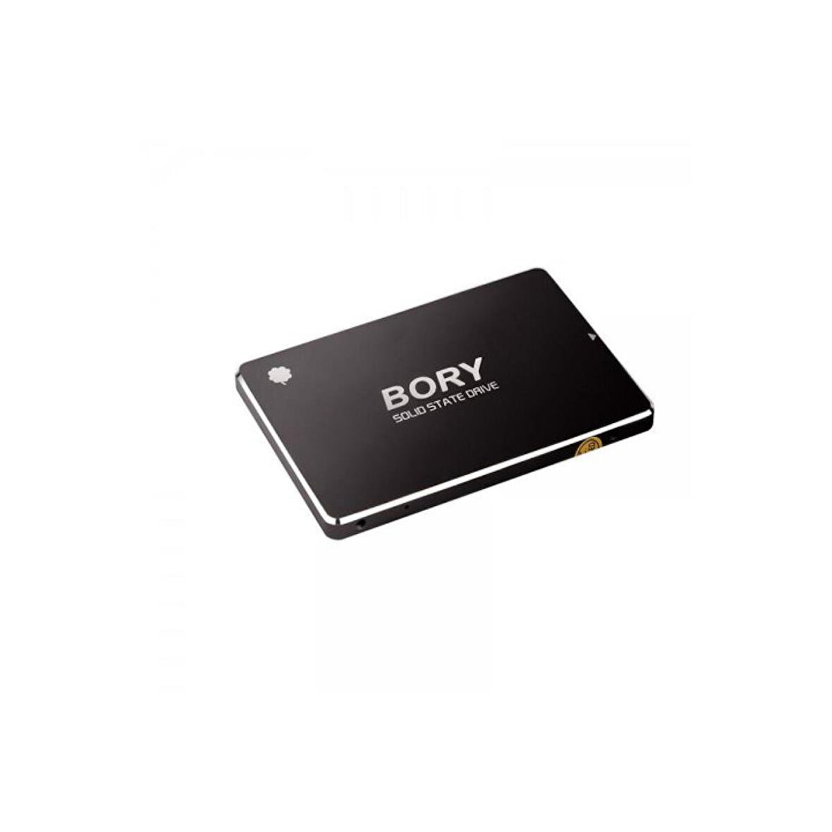 Bory R500 SSD 1TB 2.5" SATA3 550-510MB/s (3 Yıl Garantili) (R500-C1T)