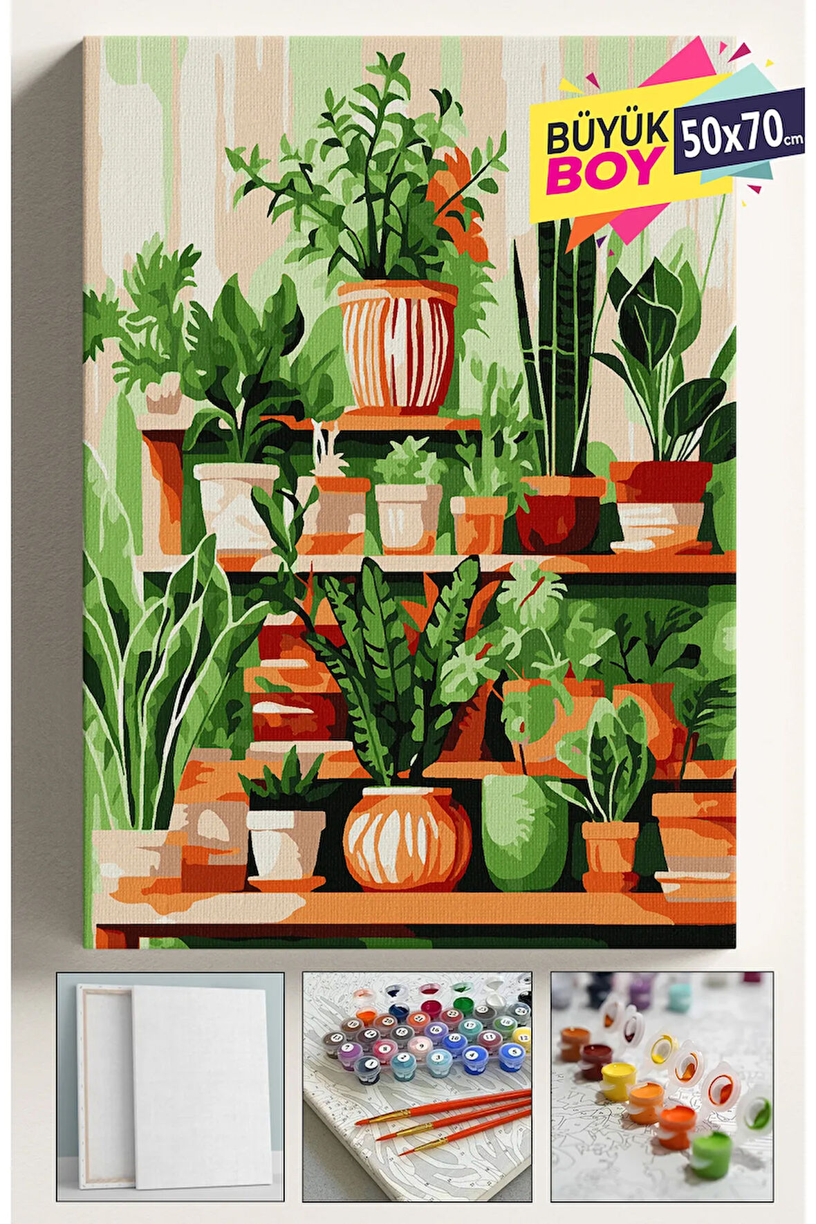 Sayılarla Boyama Seti Numaralı Tuval Fırça Boya Dahil Kasnaklı Set 50x70 Cm - KAKTÜS RAF ÇİÇEKLER