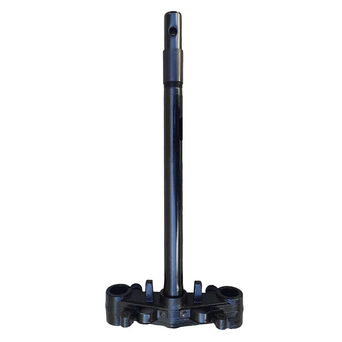 Kuba Blueberry 50 Ön Maşa