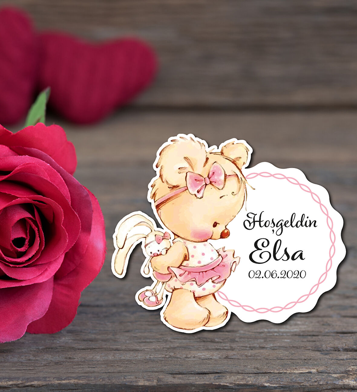 Sevimli Ayıcık  50 Adet Magnet Seti