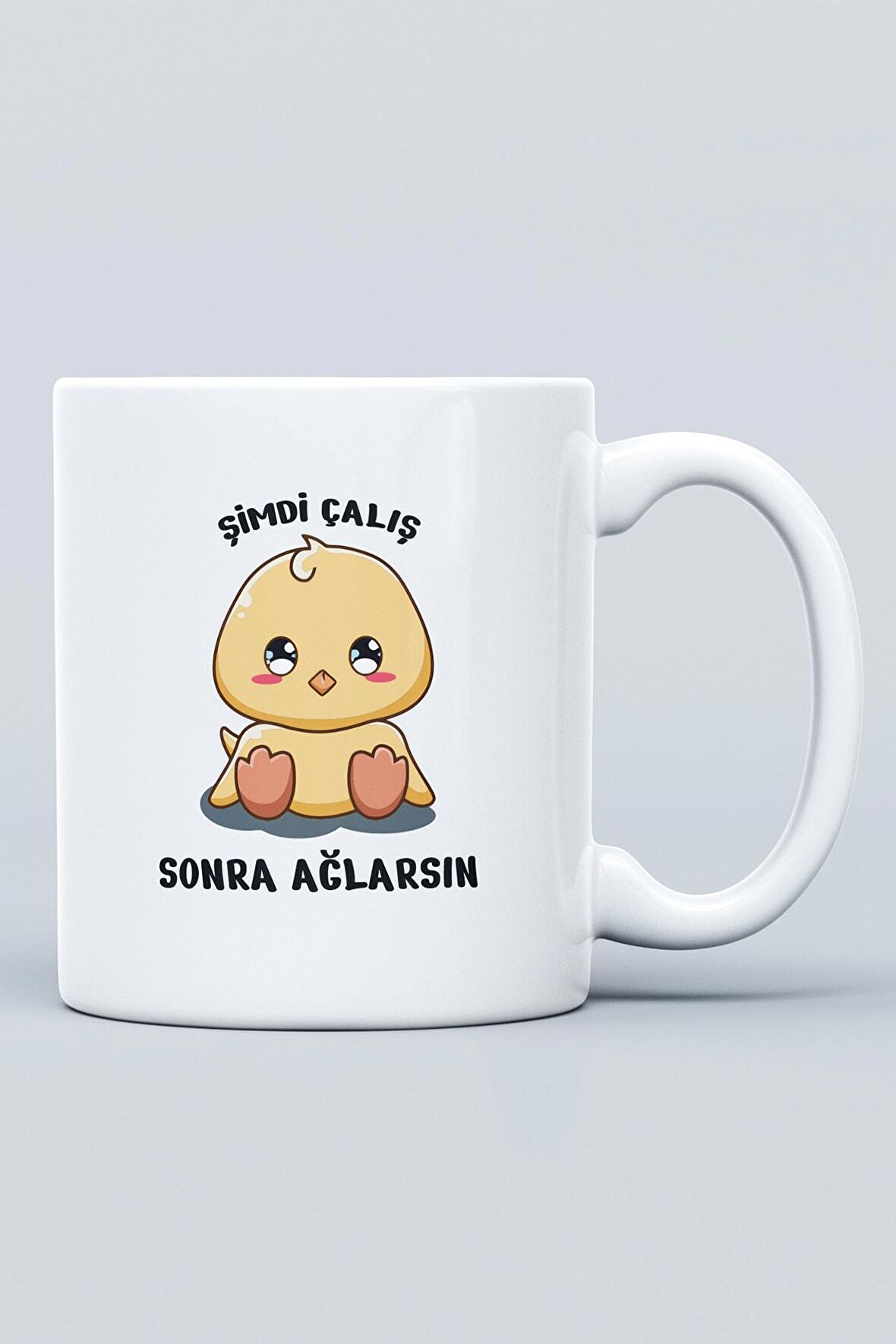 Şimdi Çalış Sonra Ağlarsın Baskılı Bardak Hediye Kutulu