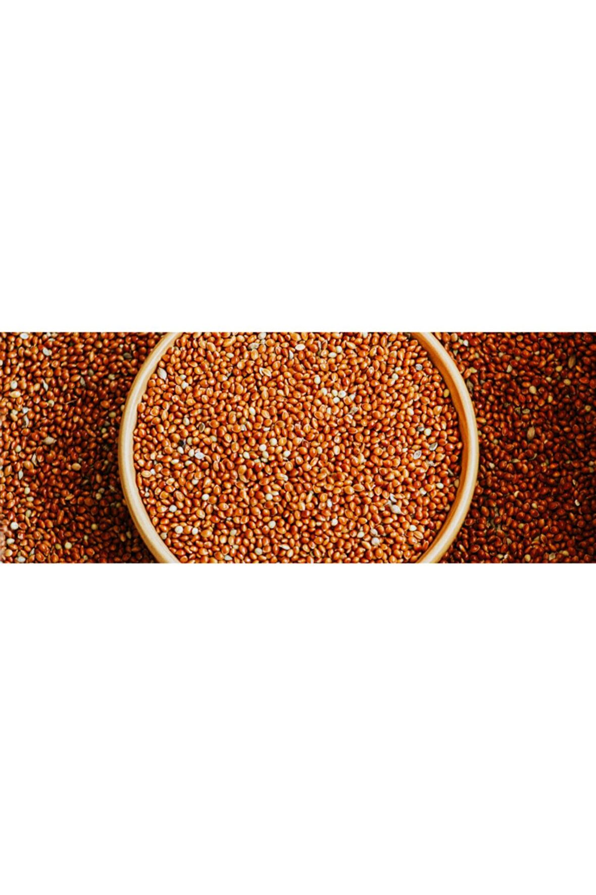 Kızıl 1 Kg Kuş Yemi 