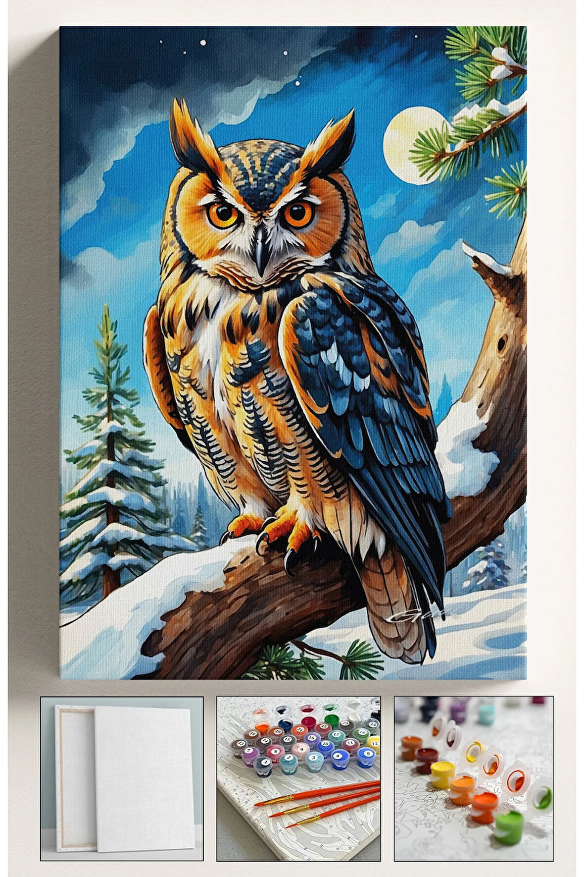 Sayılarla Boyama Tuval Seti Fırça Boya Dahil (Çıtalı) 40x50 CM - KIŞ VE BAYKUŞ