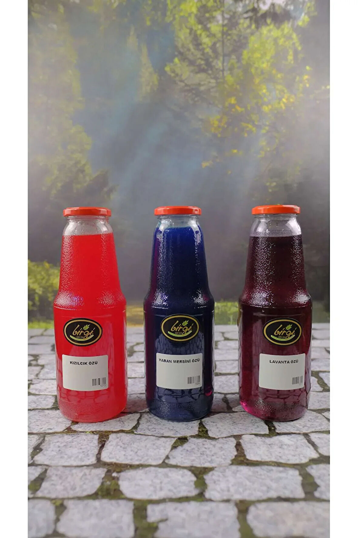 Kızılcık özü Lavanta özü Yabanmersini özü 1lt