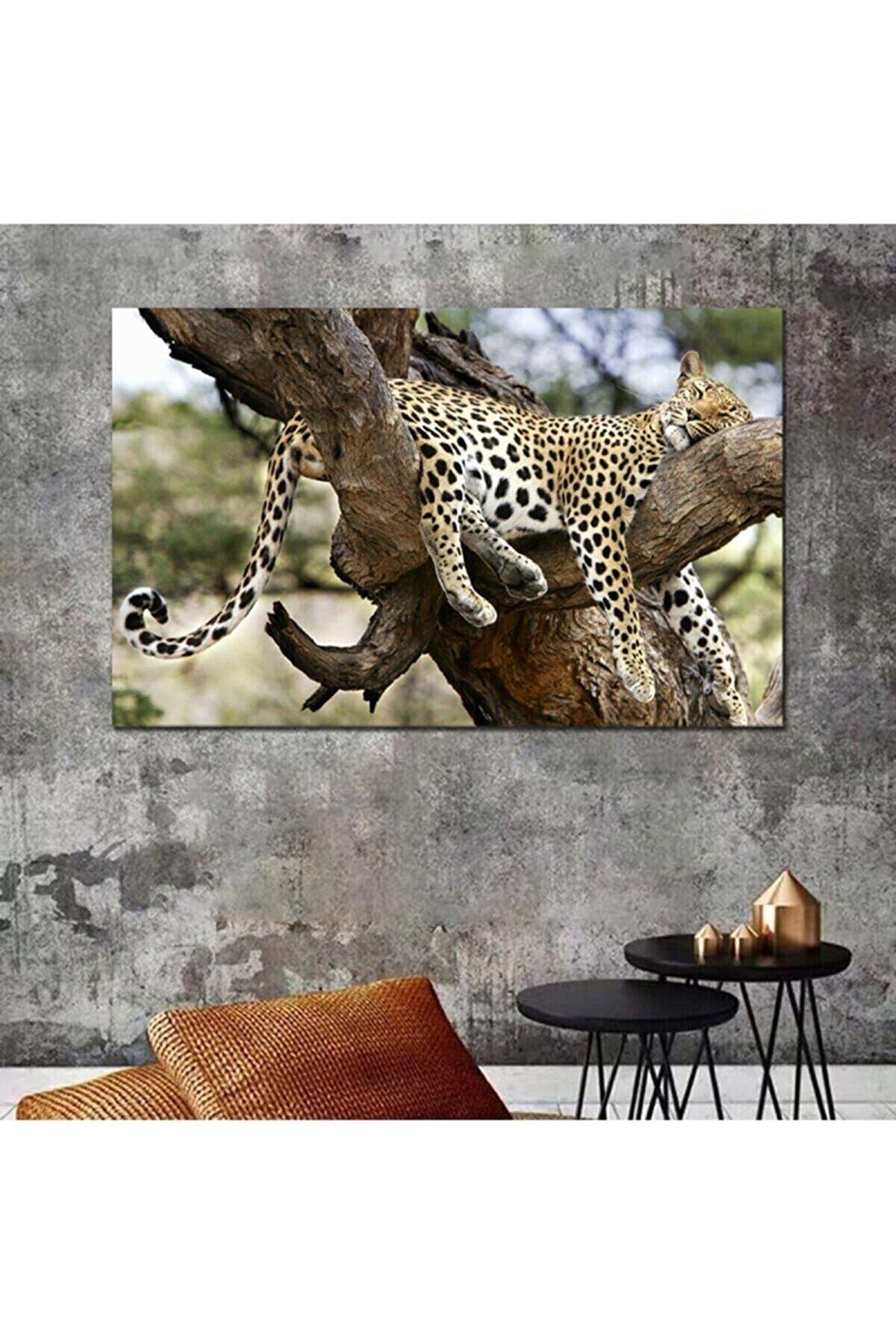 Aslan Leopar Kanvas Tablo