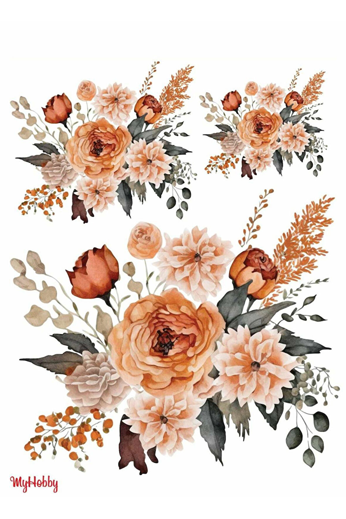 Sulu Transfer LNT240