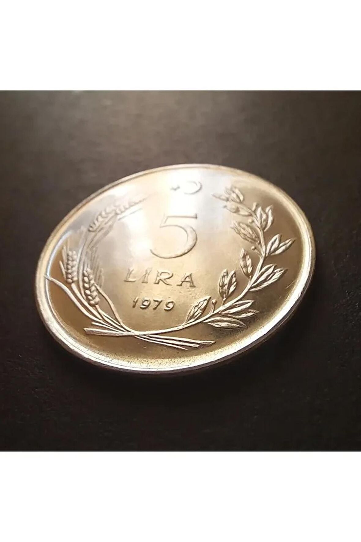 1979 Akmonital 5 Lira (ÇİL PROF)