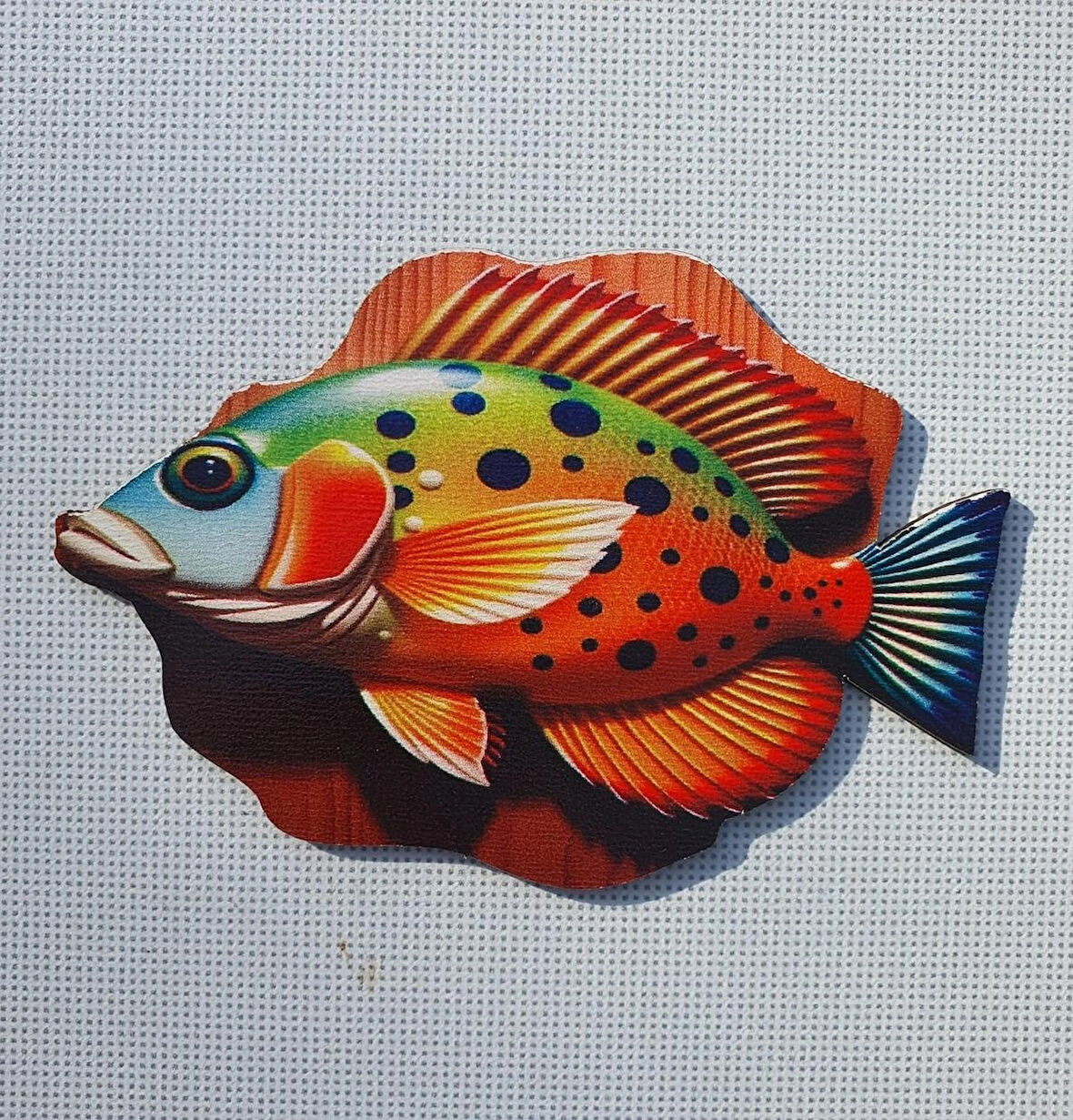 2 Adet 3D Görünümlü Balık Magnet 6 x 9 cm