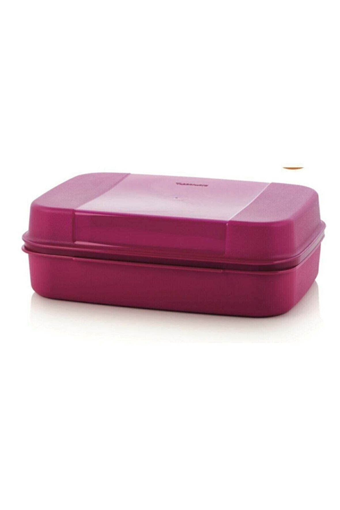 Tupperware Tupperware Büyük Saklama Kutusu