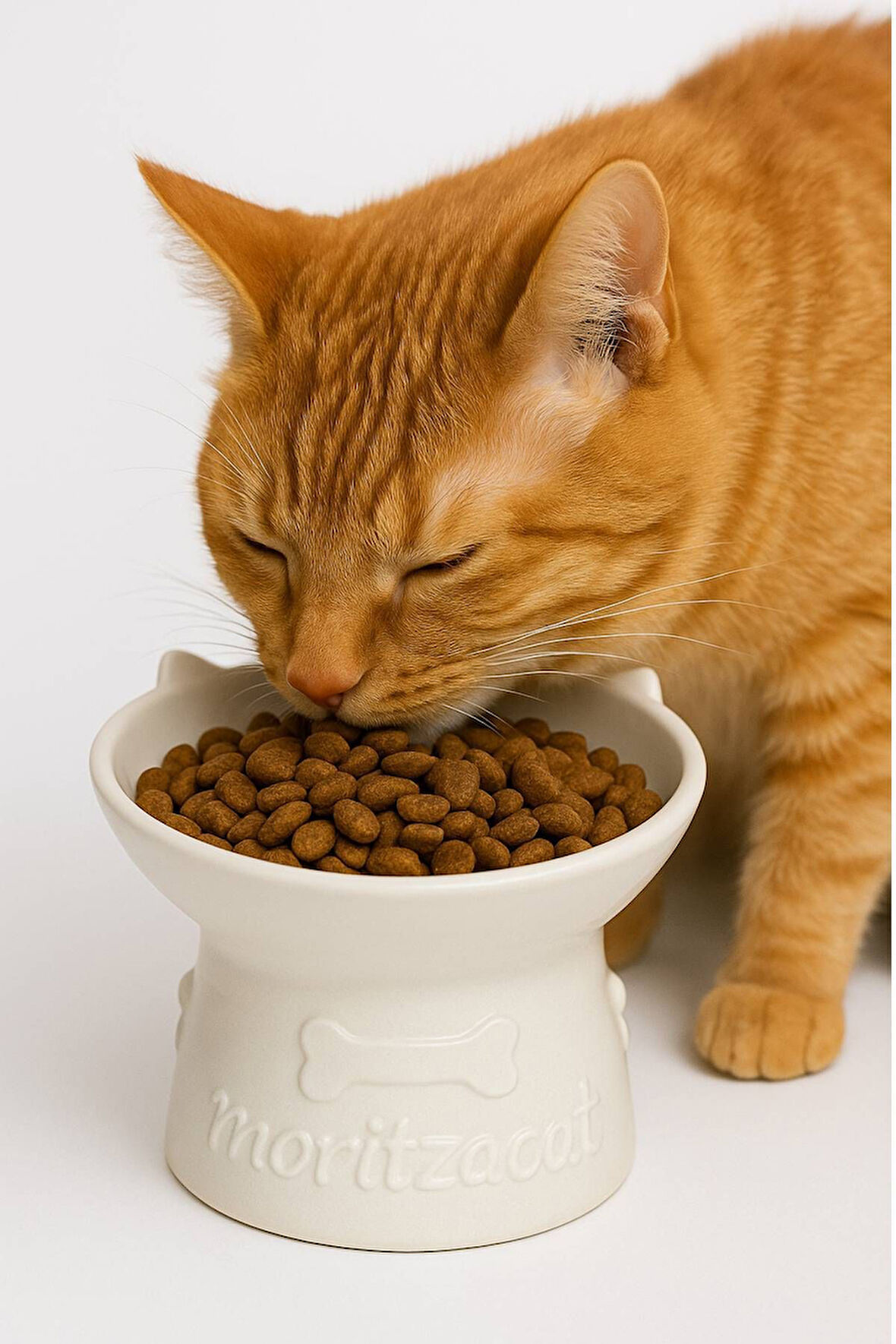 Kedi Figürlü Seramik Mama-Su Kabı