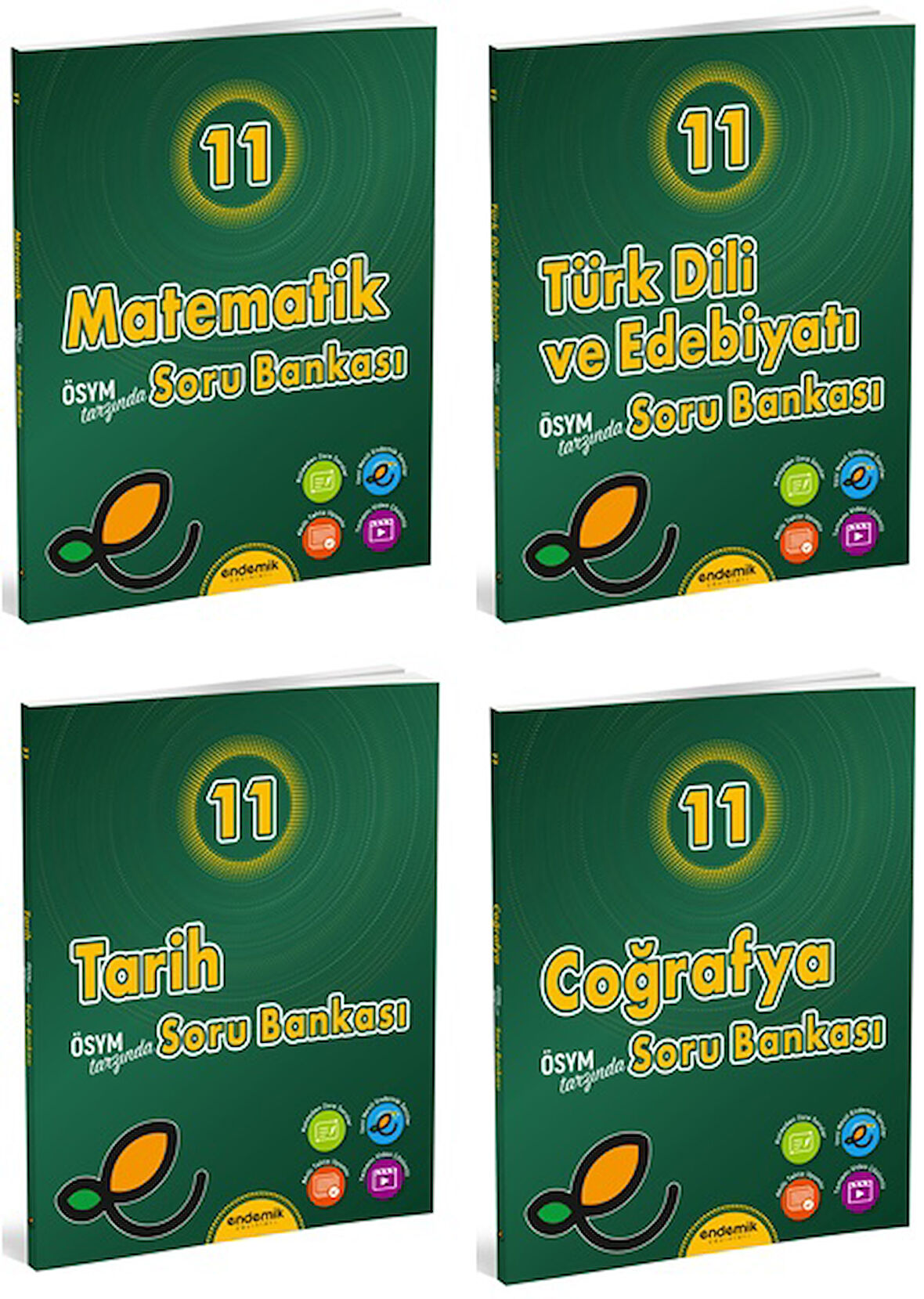 Endemik 2025 11. Sınıf Matematik + Türk Dili + Tarih + Coğrafya Soru Seti 4 Kitap