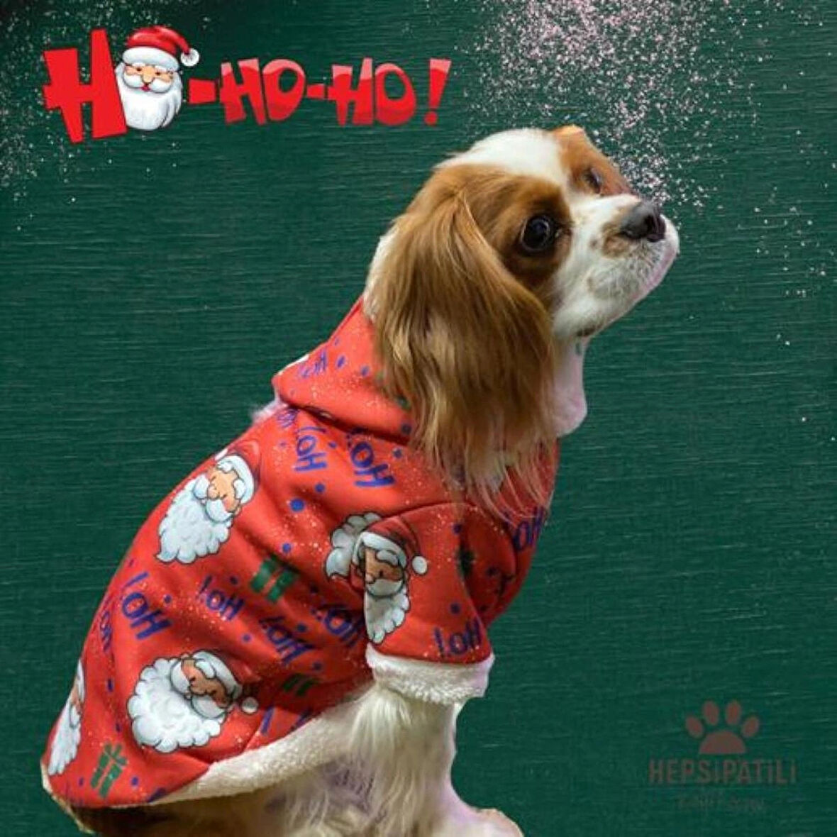 Miniş Hohoho Santa Küçük-Orta Irk Köpek Yılbaşı Sweatshirtü