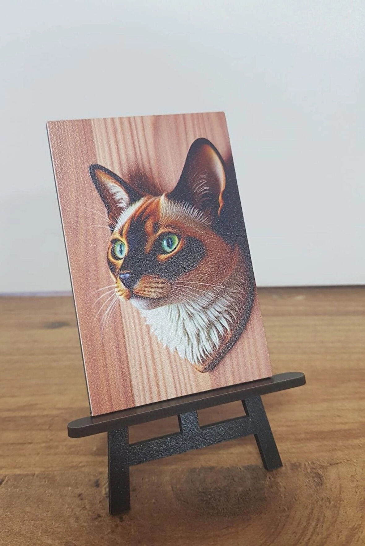 2 Adet Kedi v2 Mini Tablo