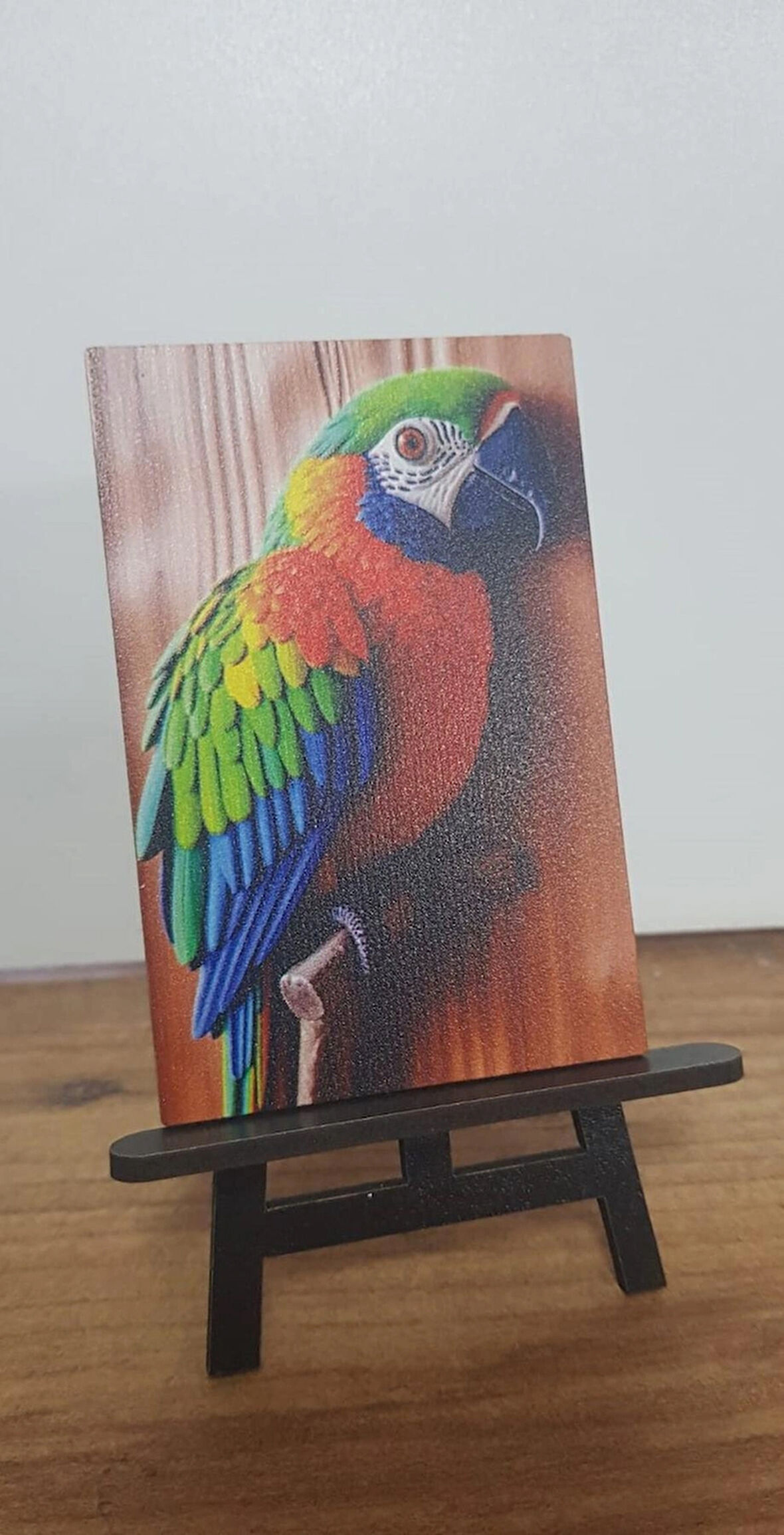2 Adet Papağan v2 Mini Tablo