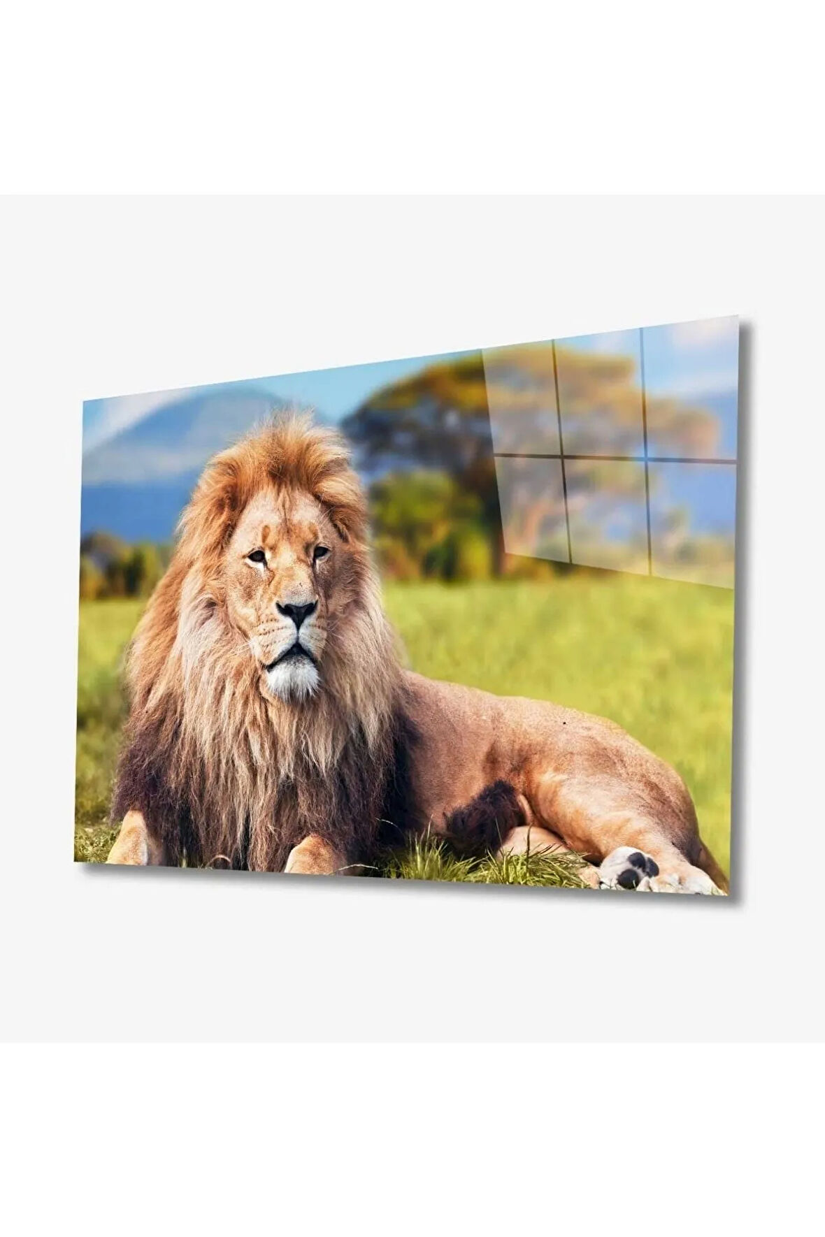  Miyrem Glasses Collection -A1^#  Aslan Hayvan Cam Tablo