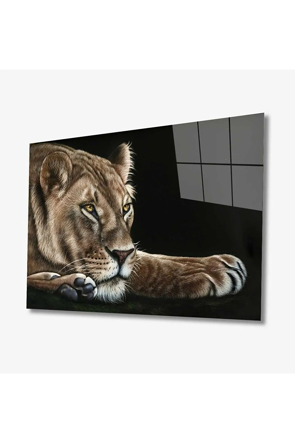  Miyrem Glasses Collection -A1^#  Aslan Hayvan Cam Tablo