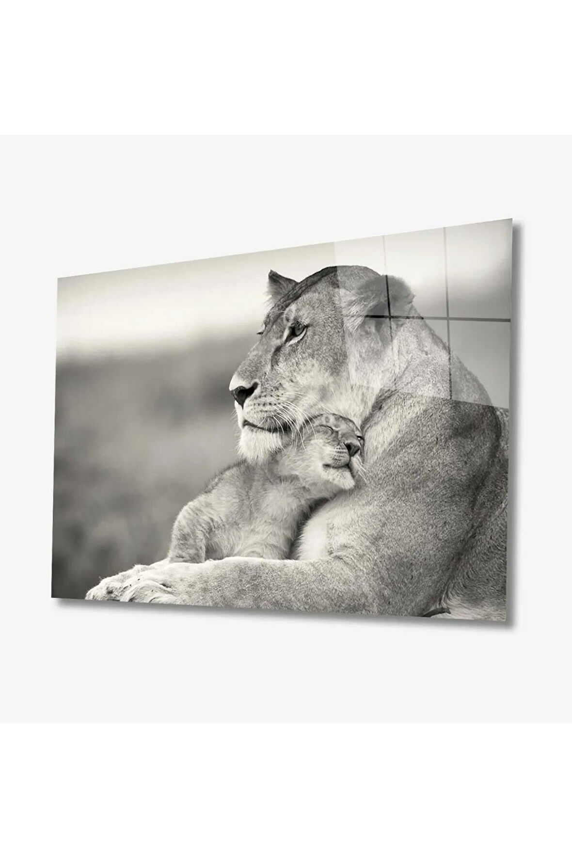  Miyrem Glasses Collection -A1^#  Aslan Hayvan Cam Tablo