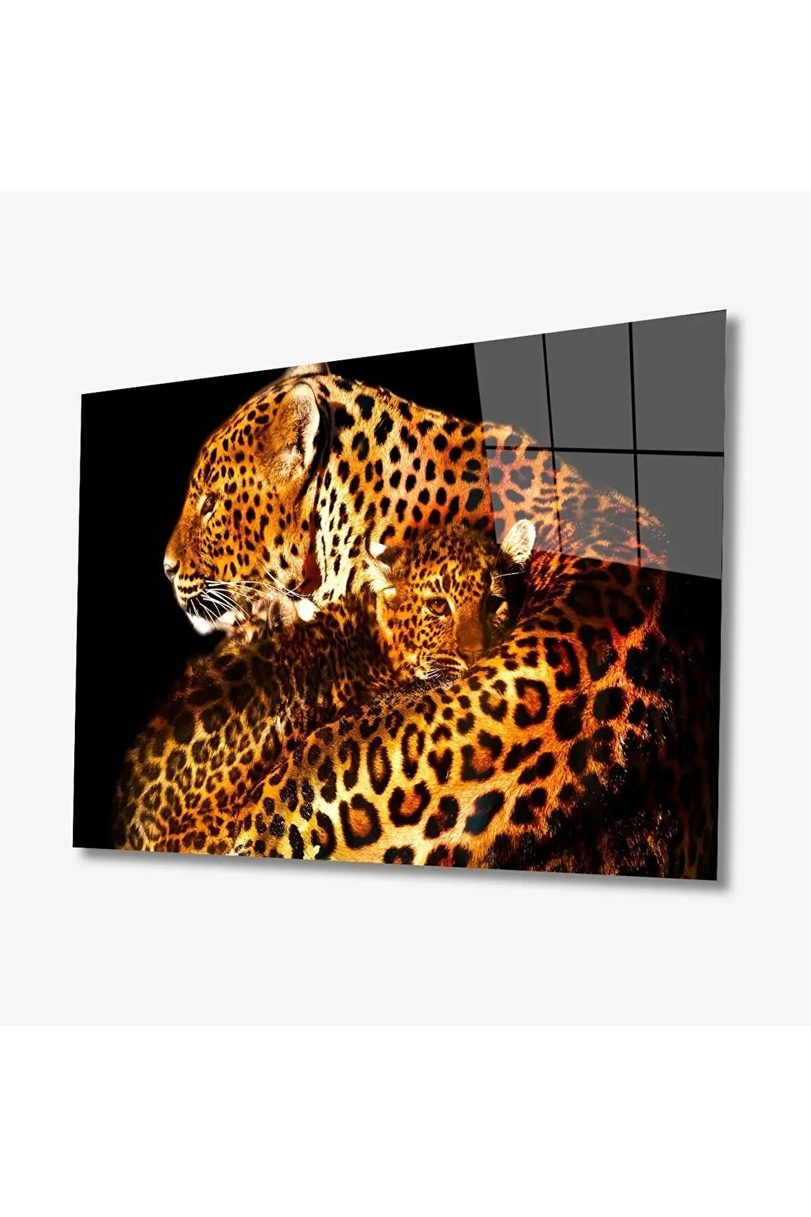  Miyrem Glasses Collection -A1^#  Jaguar Hayvan Cam Tablo