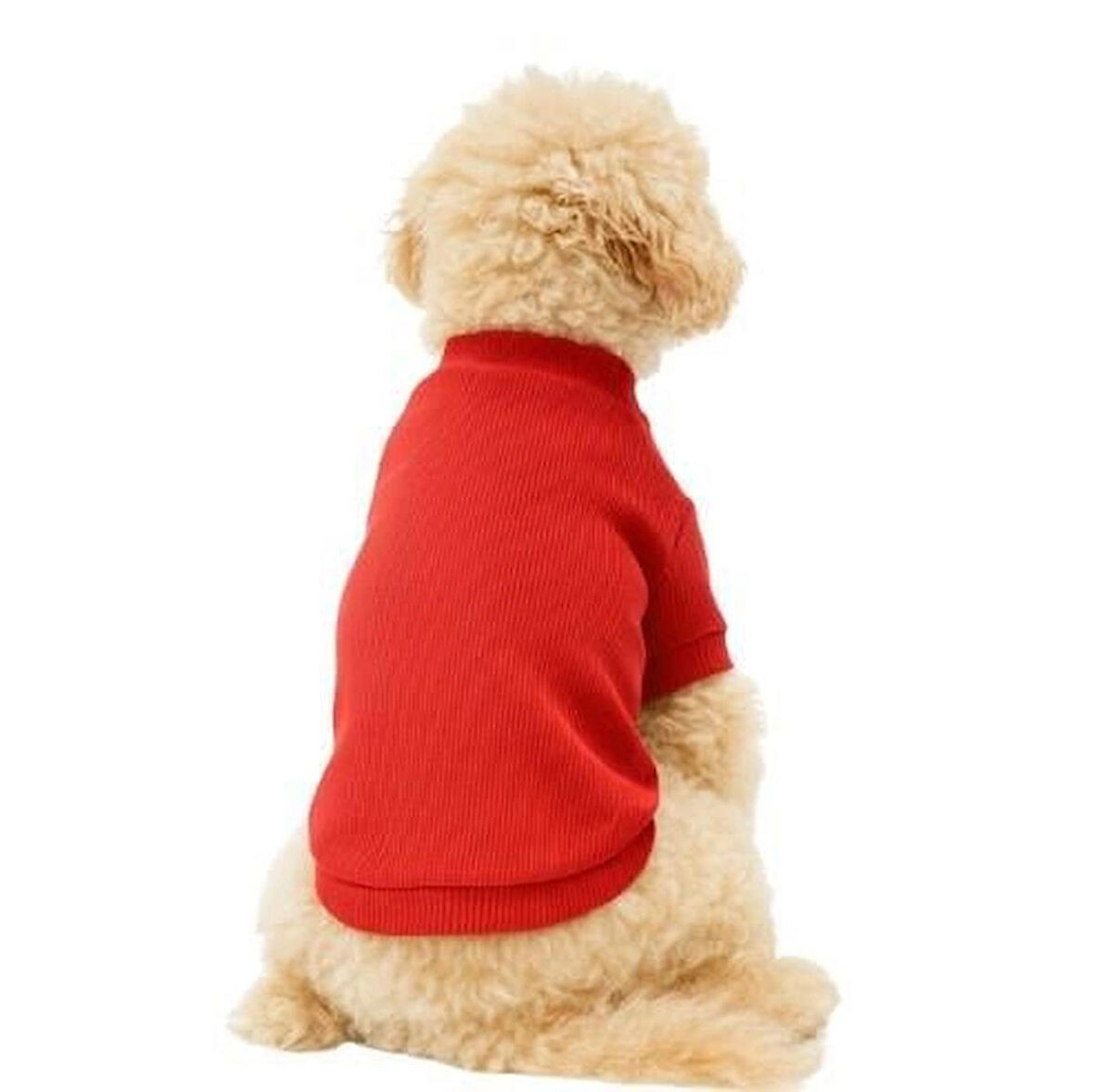 Gedyco Nar Çiçeği Küçük Irk Köpek Likralı Triko