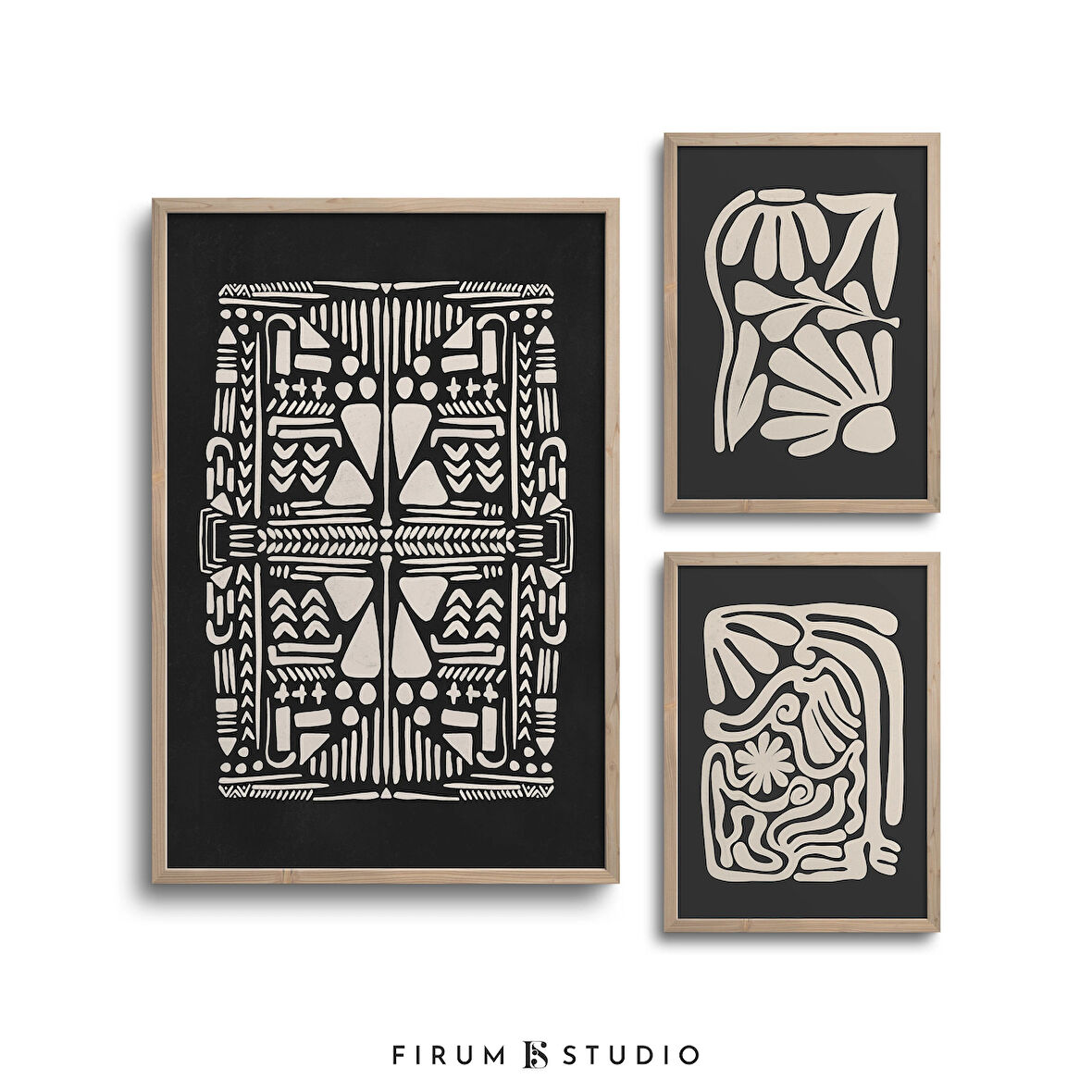 Siyah ve Bej Sanat, 3'lü Duvar Sanatı Seti, Botanik, Sanat, Organik Şekiller