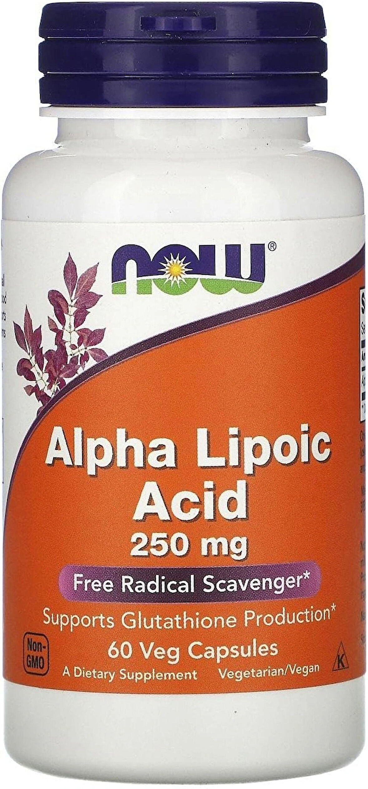 Now Foods Alpha Lipoic Acid Glutathione Support 250mg 60 Caps