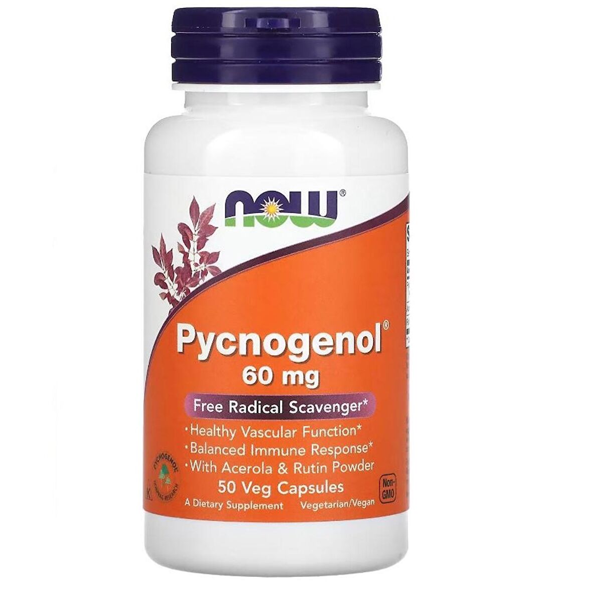 Now Pycnogenol 60 MG 50 Veg Capsules