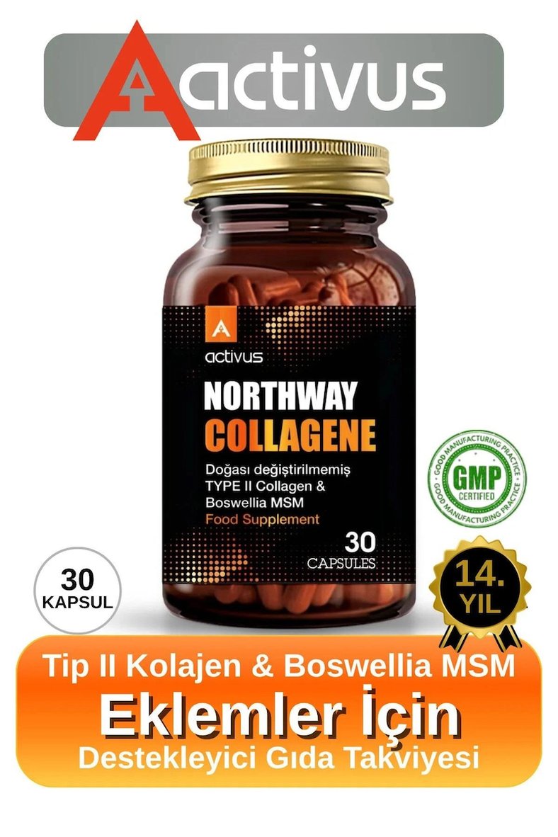 NORTHWAY TYPE II COLLAGEN 30 KAPSÜL