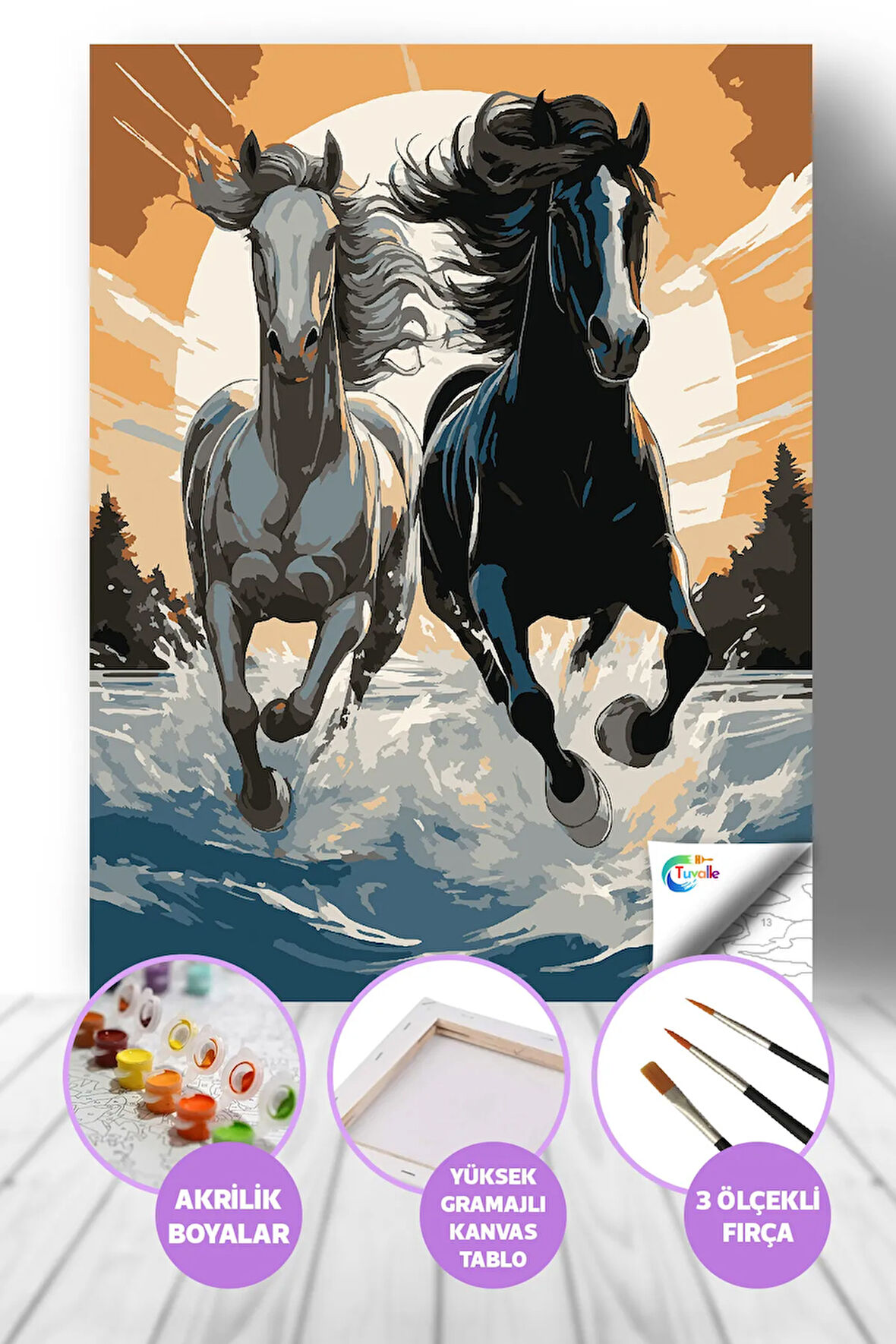 Özgürlüğe Yolculuk Sayılarla Boyama Seti, Hobi Seti, 40X50 Tablo, Fırça Boya, Numaralı Tuval