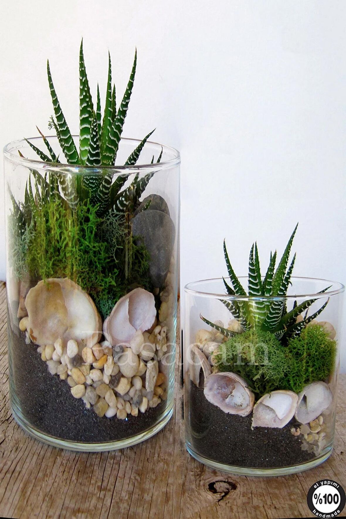 Silindir Cam Vazo Delizli El İmalat Teraryum Büyük Saksı 2'li 19 Cm Genişlik 20cm 40 cm En Geniş Boy