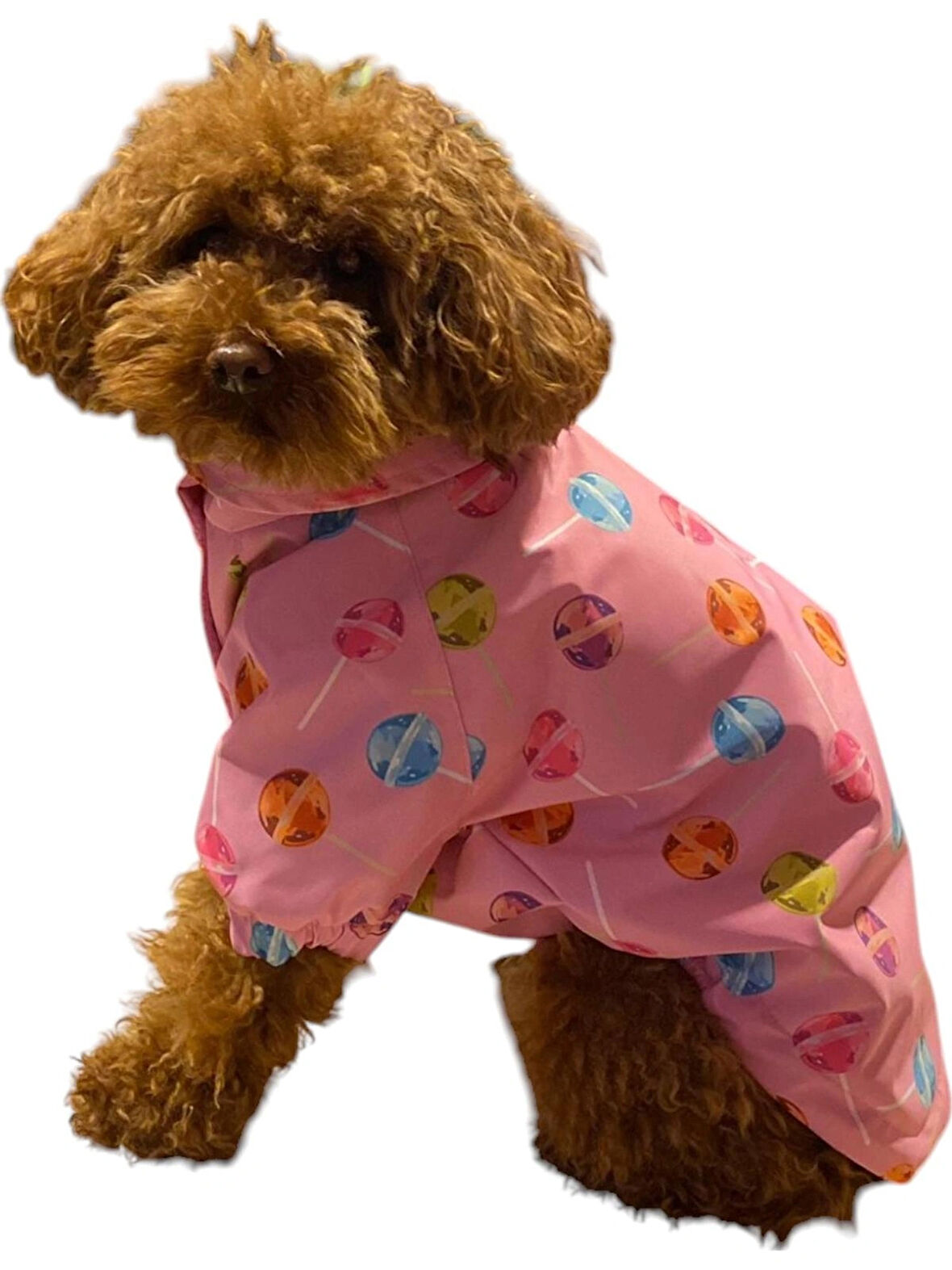 Gedyco Pinko Lolipop Polarlı Küçük Irk Köpek Yağmurluğu