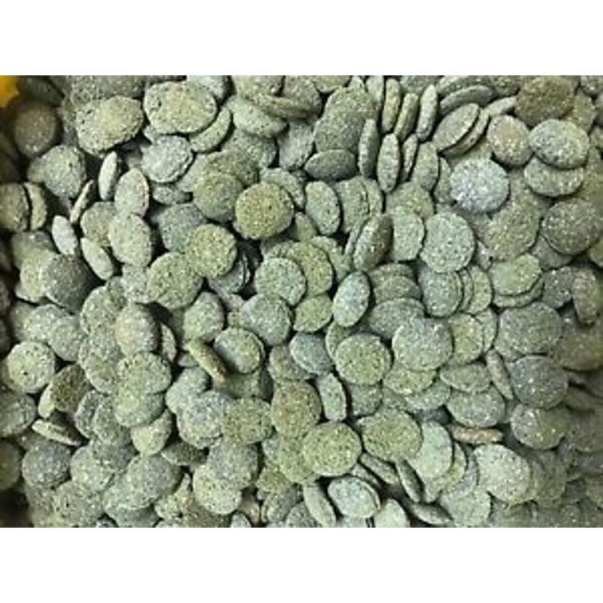 Jbl Novo pleco Vatoz için tablet yem 250 Gr Kovadan Bölme