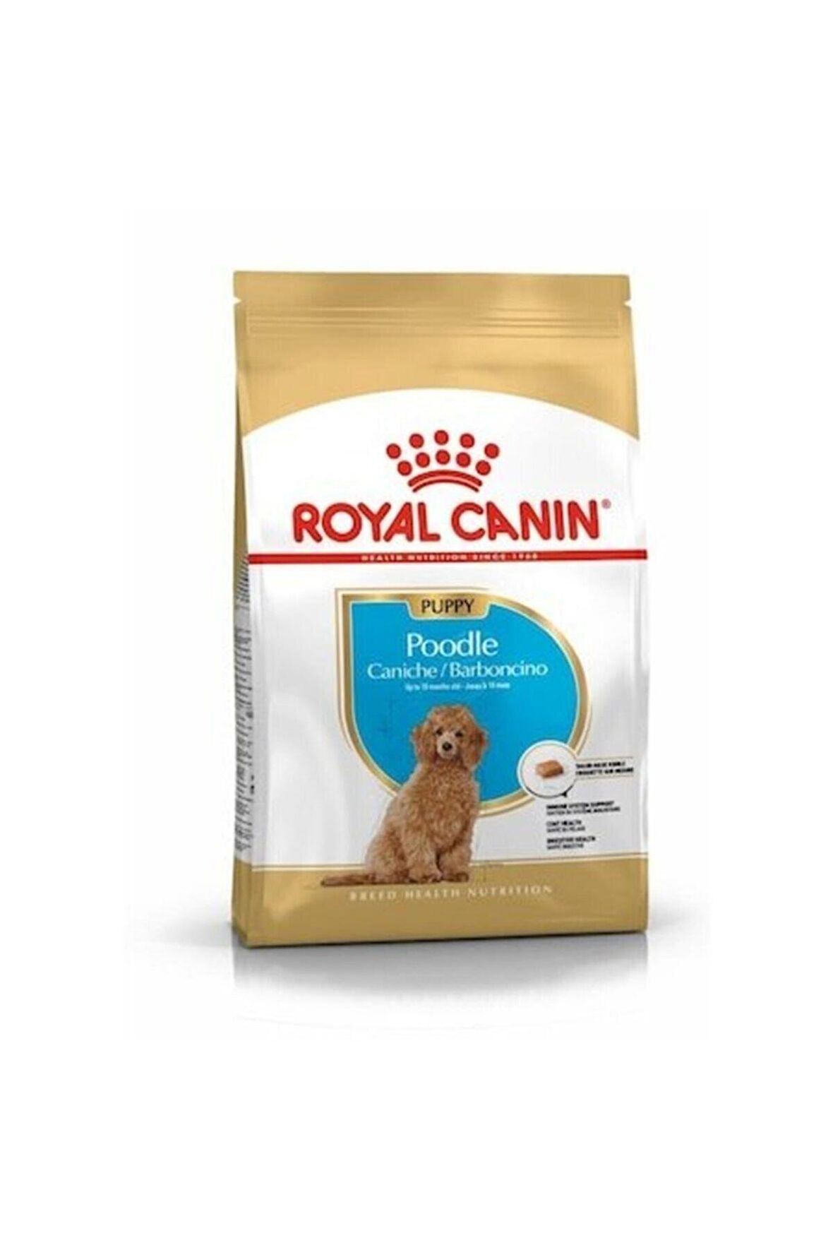 Poodle Puppy Yavru Köpek Mamasi 3 Kg