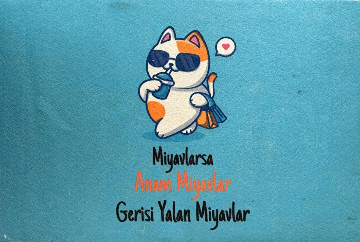 Hayvan Karikatürlü Yeni Nesil Paspas- Yalan Miyavlar