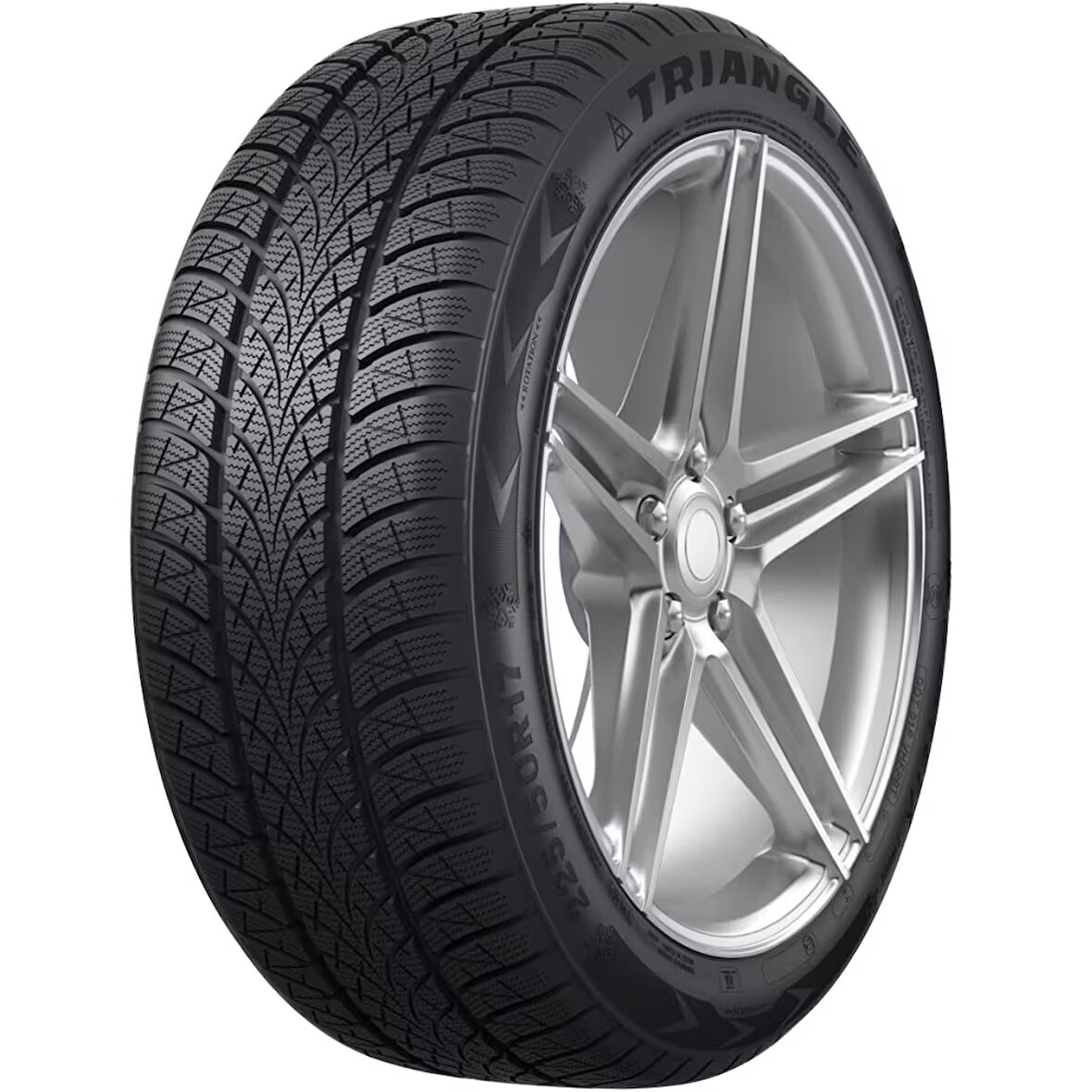 Triangle 205/45R17 88V XL WinterX TW401 (Kış) (2024)