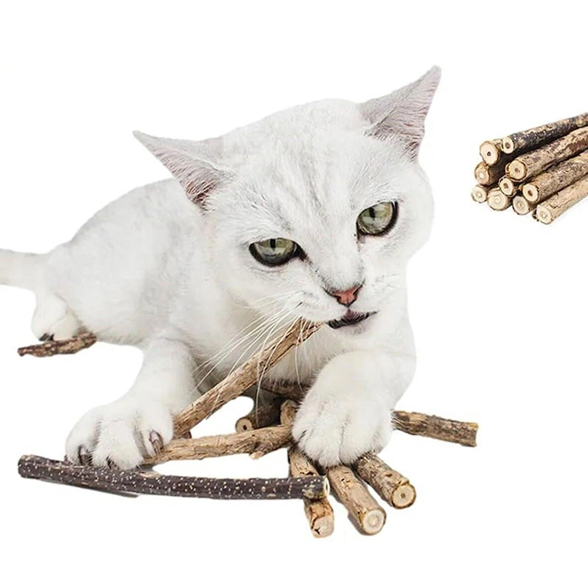 TİNEKE Doğal Matatabi Kedi Çiğneme Çubuğu   10  Adet  15 mm Kalın
