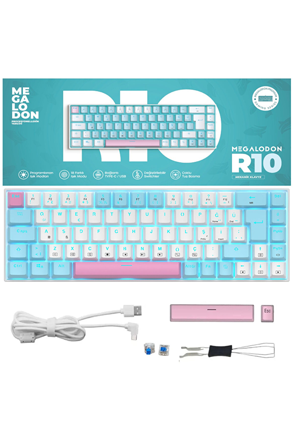 R10 Mekanik Klavye Full Anti-Ghosting Hot Swap Blue Switch Oyuncu Klavyesi (Türkçe) Buz Mavisi Işık