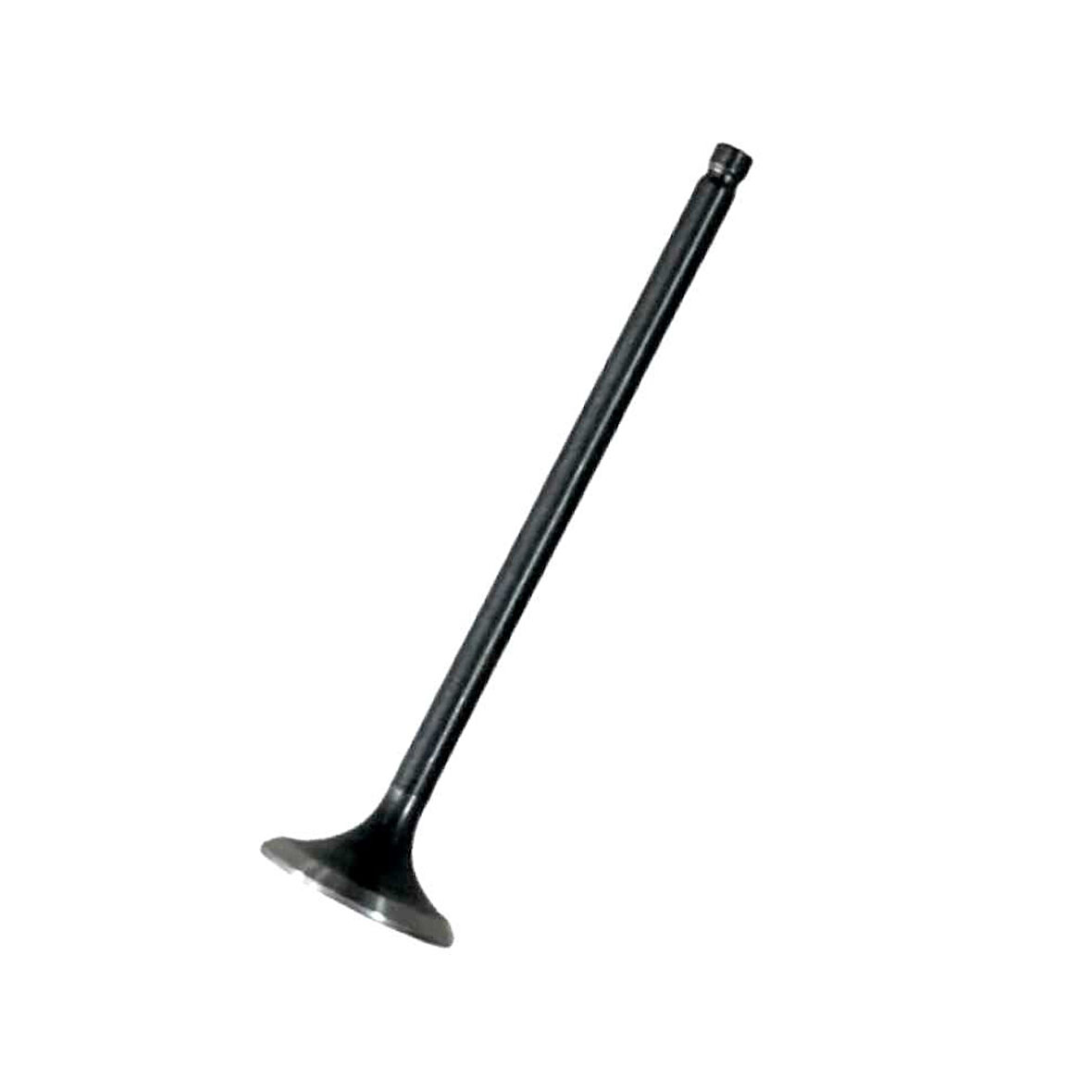 TVS Raider 125 Egzoz Subap N8011710