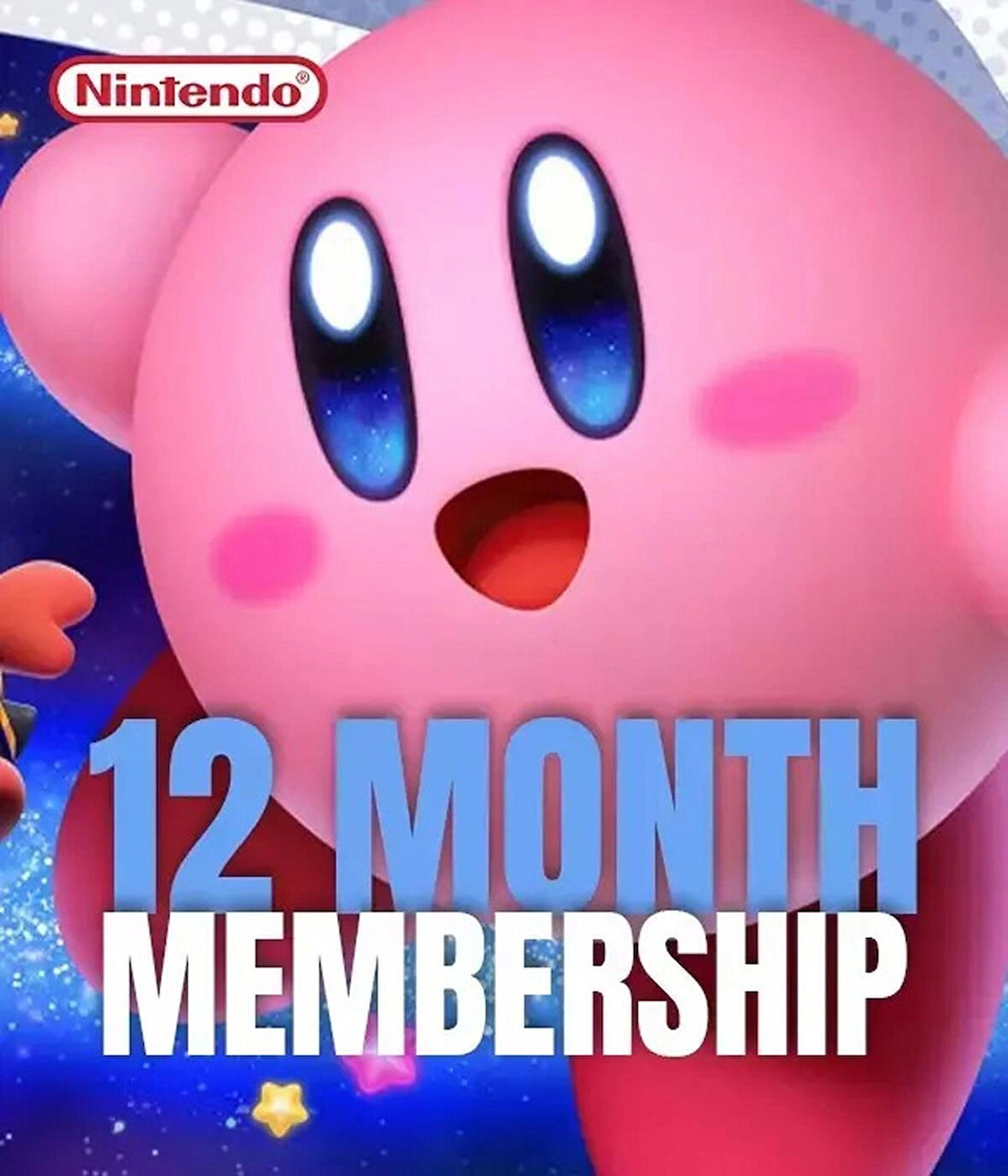 Nintendo eShop 12 Month Membership