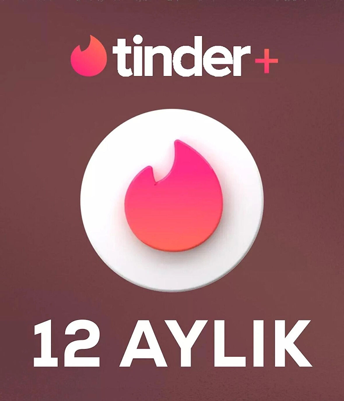 Tinder Plus 12 Aylik