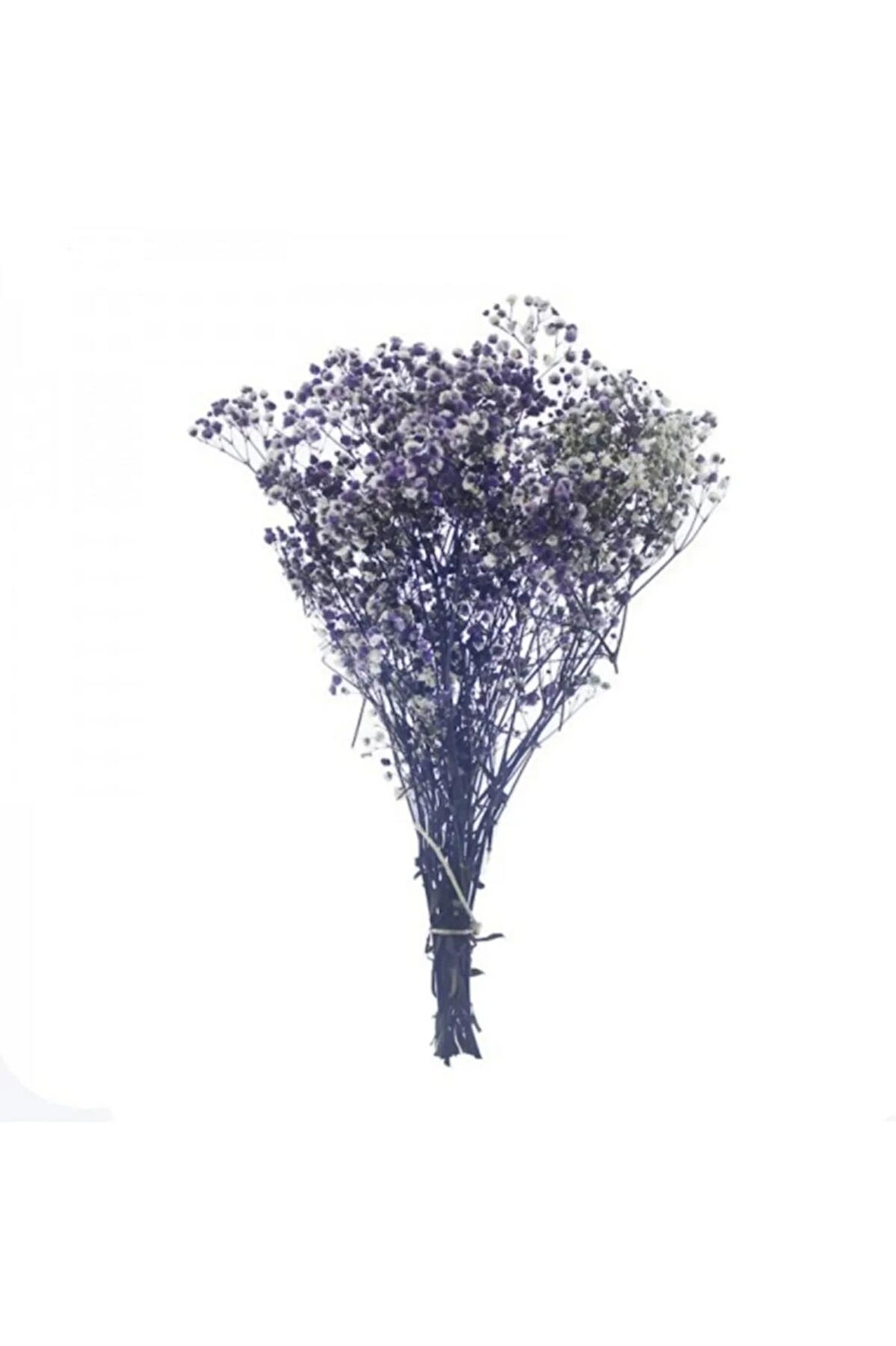 1 Demet Doğal Cipso Çiçek Naturel ( 18 Cm * 40 Cm ) ( 50 gram) Parti Süslemeleri